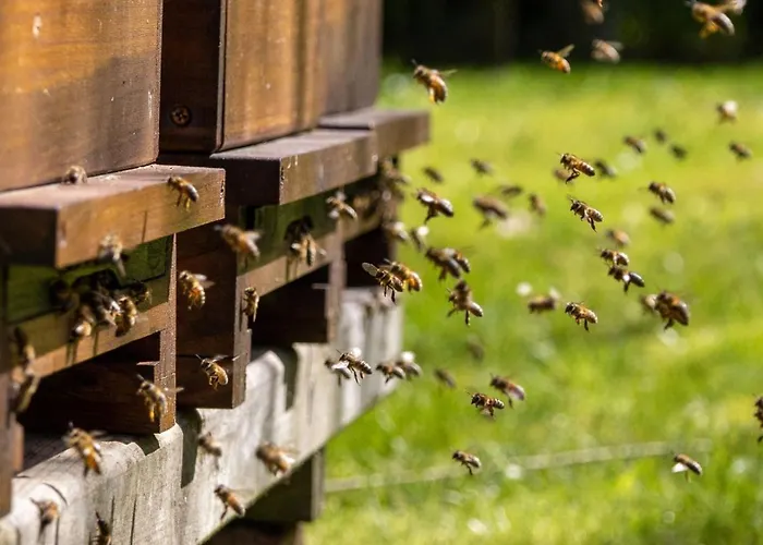 Am Suedwall Rechts *