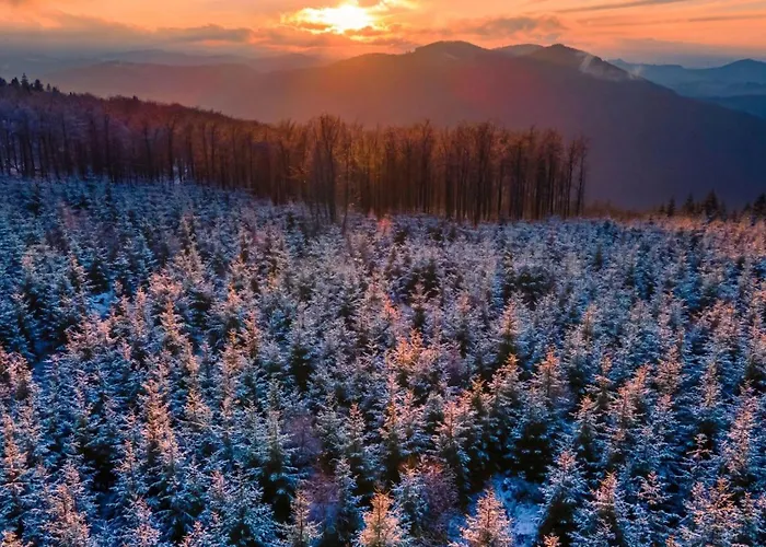 Am Suedwall Rechts Hébergement de vacances Medebach